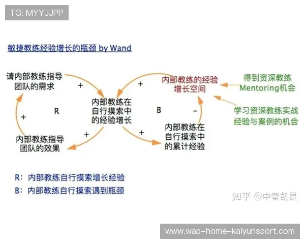 最佳战术揭秘：教练如何制定“必杀技”？