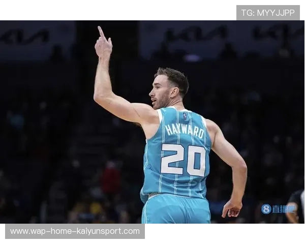 海沃德冷静串联,黄蜂反扑见效